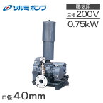 ツルミポンプ ルーツブロワー RSA-40 0.75kw 三相200V 40mm 鶴見ポンプ エアーポンプ ブロアー 曝気ブロワ エアポンプ