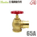 報商製作所 BR 散水栓 ミガキ 65mm×90度 SV-05 町野式 散水バルブ 65A 消火栓バルブ 消防ホース 散水ホース 蛇口 屋外