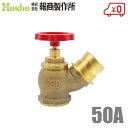 報商製作所 BR 散水栓 ミガキ 50mm×45度 SV-06 町野式 散水バルブ 50A 消火栓バルブ 消防ホース 散水ホース 蛇口 屋外