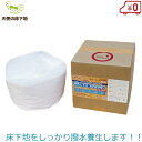 床下地合板用 撥水剤 6L/10L 撥水養生用 撥水君 ジュニア 防水 木材 撥水コート 床養生スプレー用 撥水スプレー用 SOA-HJR6 SOA-HJR10