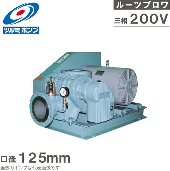 ツルミポンプ ルーツブロワー 5TBE125H 18.5kw 200V 125mm 鶴見ポンプ エアーポンプ ブロアー 曝気ブロワ エアポンプ