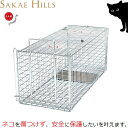 栄ヒルズ ねこ専用 捕獲器 保護器 猫用捕獲器 日本製 踏み板式 ねこラテ ネコ用 捕獲機 子猫 アニマルキャッチャー 捕獣器 捕獲かご アニマルトラップ