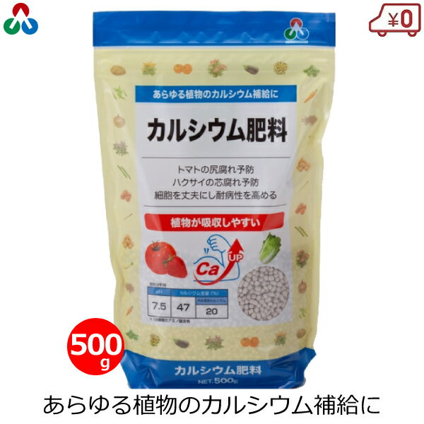 ※この商品はメール便での配送商品です。 　代金引換不可・配送日時指定不可商品となります。 　ご了承の上ご購入下さい。 送料やメール便についてご不明点がございましたら、 下記のリンクから内容をご確認ください。↓ ★メール便についてご確認ください。 ・あらゆる植物のカルシウム補給に。 ・野菜のカルシウム欠乏症予防に。 ・カルシウムは植物の細胞壁を維持するために必要な成分です。 ・カルシウムを補給することでトマトの尻腐れやハクサイの芯腐れを予防し、植物を丈夫に育てる効果があります。 ・植物が吸収しやすい配合です。 ・容量：500g ・成分：リンサン1：カリ1：マグネシウム1 ・カルシウム全量：47%(内水溶性カルシウム20%) ・pH：7.5 ・生産国：日本