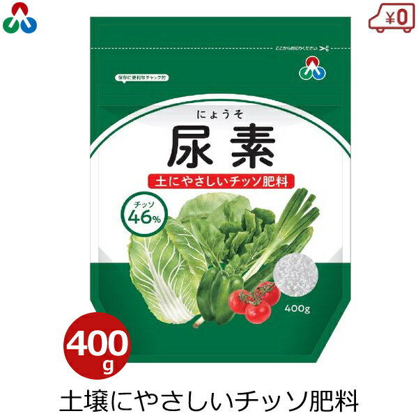 AOA Af 엿 400g `b\엿 ǔ  Y t  t ͔| ƒ؉ ƒp | K[fjO