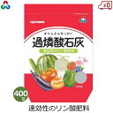 朝日アグリア 過燐酸石灰 肥料 400g リン酸肥料 酸性肥料 リンサン 元肥 追肥 国産 花 野菜 栽培 家庭菜園 家庭用 園芸 ガーデニング