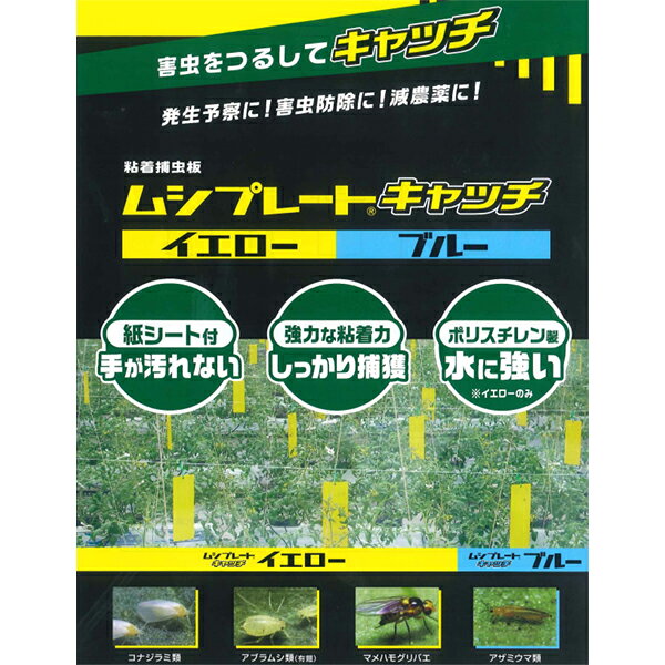 S.S.Nのニッソーグリーン ムシプレートEX イエロー L 10枚入り 害虫駆除 害虫捕獲 粘着シート 耐水 捕獲 吊り下げ アブラムシ コナジラミ 虫取りシート 虫取りプレート 農作物 家庭菜園 ガーデニング｜アングル2