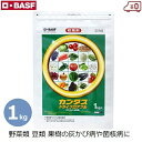 BASF カンタスドライF 殺菌剤 1kg 病害予防 粒剤 灰色かび病 菌核病 さび病 野菜 豆類 果樹 小麦 眼紋病 防除剤 予防 殺菌 農薬 農作物