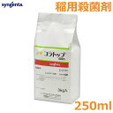 殺菌剤 稲用 コラトップ粒剤5 3kg 農薬 薬剤 シンジェンタ 水稲 いもち病 もみ枯細菌病【2025年10月期限切れ】
