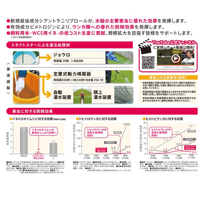 殺虫剤 ミネクトスター 顆粒水和剤 500g 稲 箱育苗用 水稲 ウンカ 灌注処理剤 防除 農薬 薬剤 シンジェンタ 2