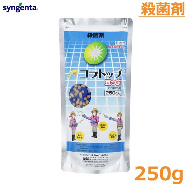 殺菌剤 コラトップ豆つぶ 250g 稲 いもち病 もみ枯細菌病 防除 農薬 薬剤 シンジェンタ