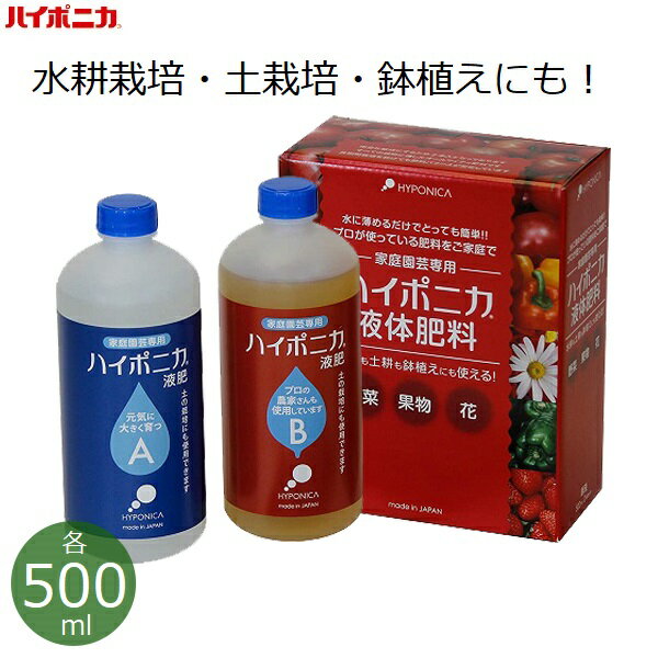 nC|jJ t̔엿 At/Bt e500ml k͔| t ƒp { ƒ؉ g}g ~jg}g ϗtA  ʕ  x_͔|  ȒP K[fjO a