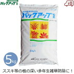 バックアップ粒剤 5kg 除草剤 雑草 対策 多年生雑草 ススキ セイタカアワダチソウ 除草 防除 緑地管理用 畜舎 持続効果 約6ヶ月 庭 駐車場 道路 お墓 宅地 空き地 空地 清掃