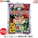 東商 なすトマトきゅうり肥料 450g 肥料 追肥 国産 アミノ酸 リン酸 家庭菜園 プランター 苗 植え付け ガーデニング