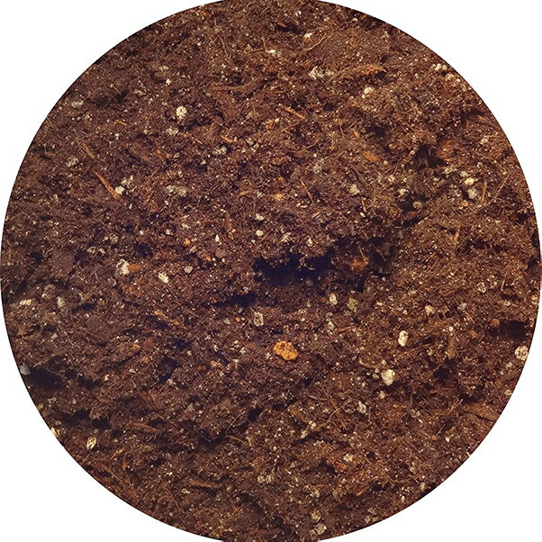 培養土 園芸用土 球根の土 14L×2個セット チューリップ スイセン クロッカス カサブランカ 自然応用科学