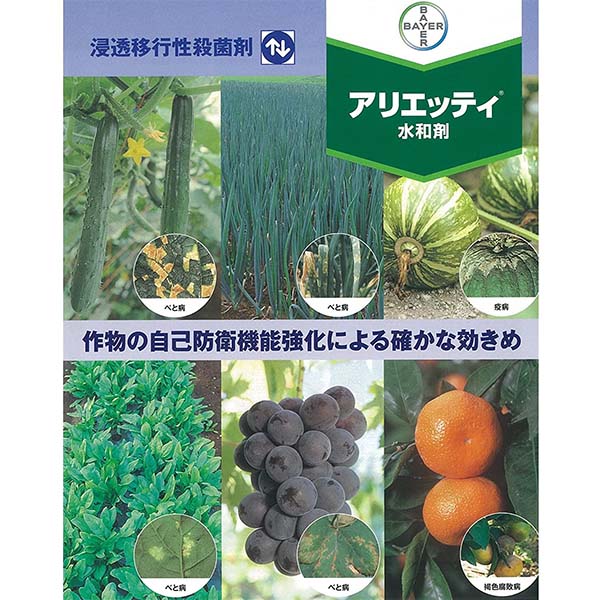 殺菌剤 アリエッティ水和剤 500g べと病菌 疫病菌 ほうれんそう わけぎ 農薬 薬品 2