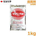 殺菌剤 リゾレックス水和剤 1kg リゾクトニア菌 諸病害 白絹病 防除 農薬 薬品 住友化学