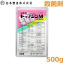 殺菌剤 トップジンM 水和剤 500g 農薬 防除 対策 消毒 カビ うどんこ病 日本曹達