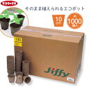 【法人様限定商品】 サカタ 育苗ポット 天然素材 丸型 ジフィーポット 10cm 約1000個入り 種まきポット 苗ポット イチゴ 花 野菜 苗 植え付け ピートモス 園芸用土 育苗カップ 家庭菜園