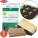サカタのタネ 育苗 培土 種まき用土 育苗トレー 5セット 挿し芽の土 さし芽 挿し木用土 挿し芽用の土 苗植え 簡単 初心者 家庭菜園