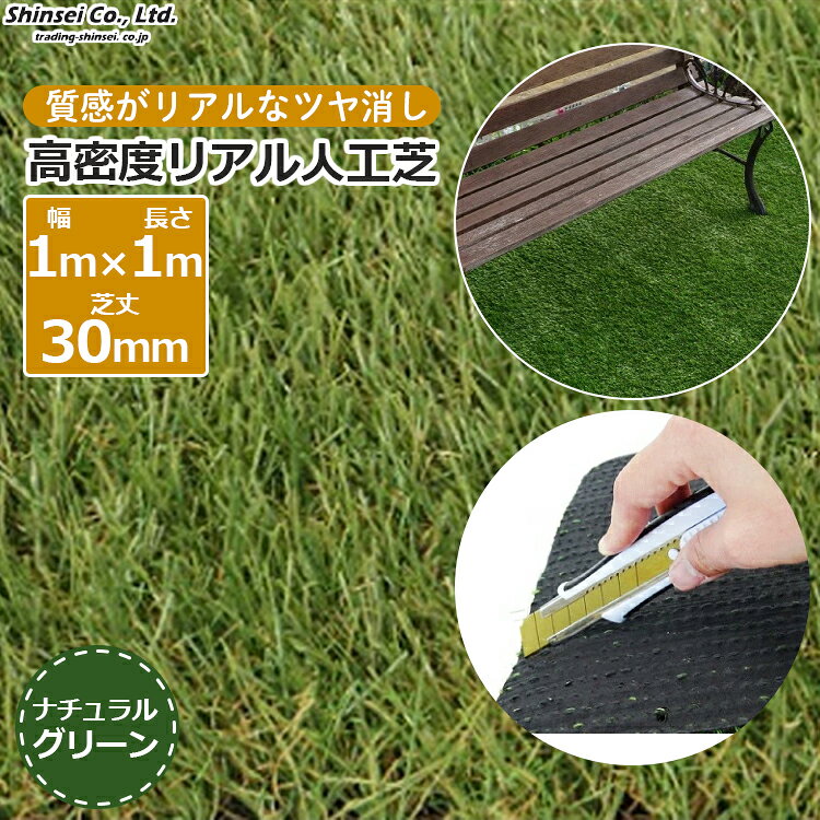 楽天市場】人工芝 3センチの通販
