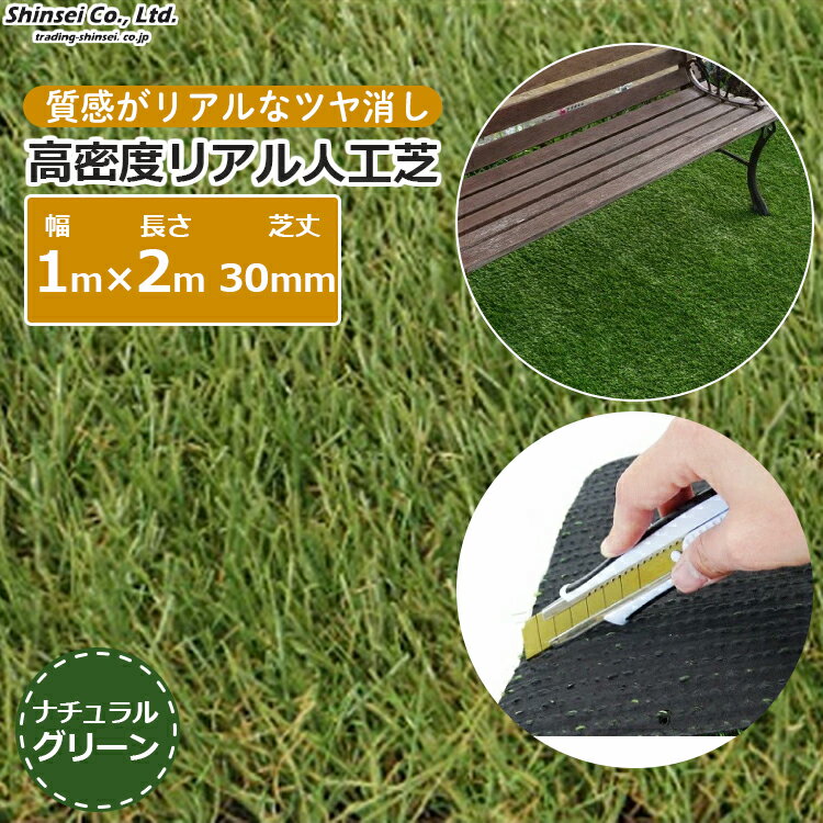 楽天市場】人工芝 1m×2mの通販