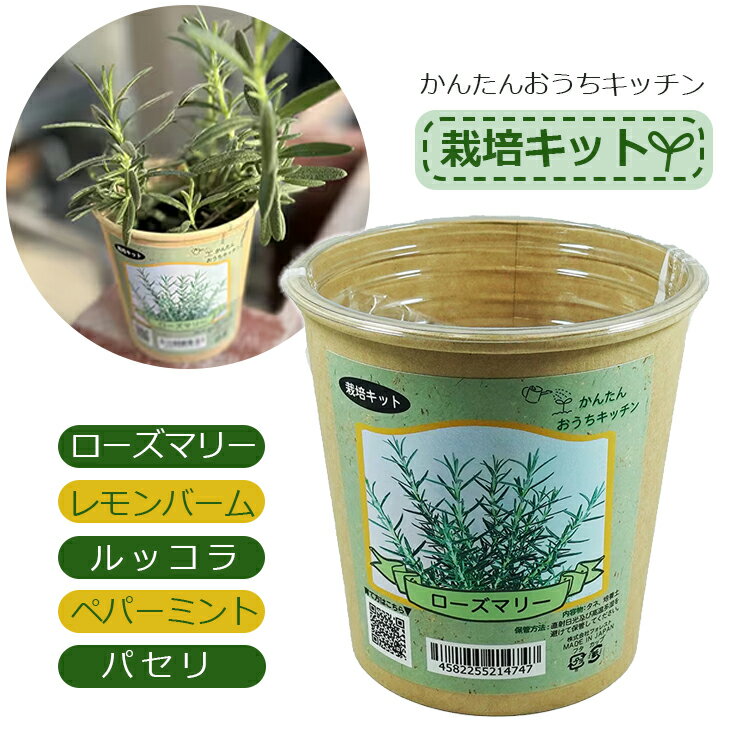 野菜 栽培キット 室内 栽培セット ミニサイズ ローズマリー レモンバーム ルッコラ ペパーミント パセ..