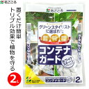 花ごころ コンテナガード ホワイトストーン 2L 軽石 白軽石 園芸用 観葉植物 鉢花 室内 乾燥防止 雑草防止 病気予防 清潔 軽量 ガーデニング