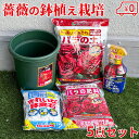 バラ 栽培 薔薇 鉢 肥料 培養土 鉢底石 殺虫殺菌殺虫 5点セット 初心者セット スター