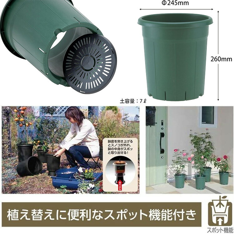 バラ 栽培 薔薇 鉢 肥料 培養土 鉢底石 殺虫殺菌殺虫 5点セット 初心者セット スタ...