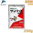 殺菌剤 サンリット水和剤 250g 果樹 茶 農薬 薬剤【2024年10月期限切れ】