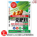 一発肥料 ねぎ類専用 5kg×2袋 10kg 肥料 ねぎ 玉ねぎ タマネギ にんにく 長ネギ 野菜 マルチ栽培 肥効約120日 長期効果 簡単 苦土入り 家庭菜園 畑 園芸 ガーデニング