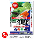 一発肥料 野菜全般用 5kg 肥料 野菜 肥効約120日 長期効果 簡単 粒状 苦土入り 家庭菜園 畑 園芸 ガーデニング