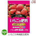 いちごの肥料 500g 肥料 イチゴ 家庭菜園 野菜用 野菜づくり 有機配合 家庭用 栽培 園芸 ガーデニング