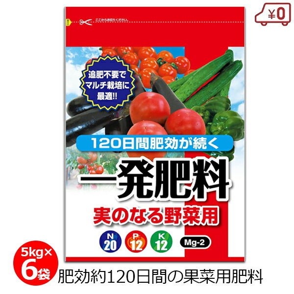 ・トマト、なす、きゅうりなど果菜類全般の肥料として。 ・果菜類に適した便利な肥料です。肥料効果は約120日、追肥は不要です。 ・当商品は、各メーカーのPCUを分析/確認し(被覆材,溶出試験,成分,浮上,オイルなど)、特徴を把握、配合設計し各メーカーを数種類ブレンドしています。 ・異常気象などの不安定要素があっても、より安定して効くよう設計しております。 ・野菜の特に果菜類で効果を発揮するように溶出設計しております。 ・後半まで肥料が効くよう、引っぱった設計をしております。健康的でおいしい作物栽培が可能です。 ・化学肥料は、施肥量の50%が地下水へ流れるといわれております。 ・当商品は、肥料が徐々に効果を発揮するので、地下水を汚染せず、環境にやさしい肥料です。 ・入り数：5kg×6袋 ・成分(%)：チッソ20.0、リンサン12.0、カリ12.0、苦土2.0 ・原料：被覆尿素、塩化加里など ・施肥用途：元肥、追肥