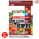 苦土石灰入り一発肥料 5kg×2袋 10kg 肥料 野菜 追肥不要 粒状 pH調整不要 家庭菜園 畑 園芸 ガーデニング