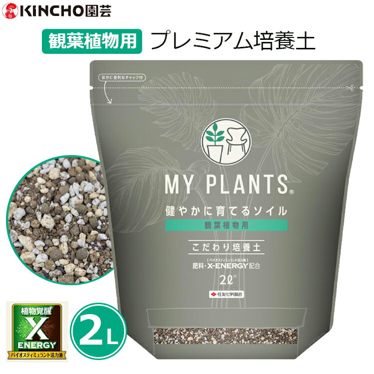 SSN㤨֥ޥץ  տʪ տʪ 2L ץߥ 䤫˰Ƥ륽  Хк    ͧر MY PLANTSפβǤʤ450ߤˤʤޤ