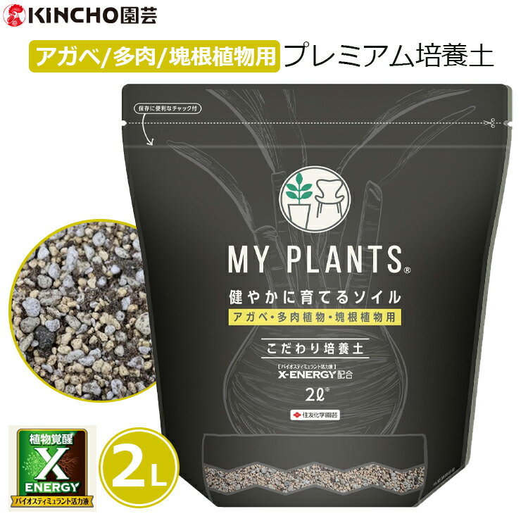 マイプランツ培養土アガベ多肉植物塊...