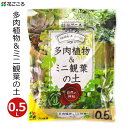 花ごころ 多肉植物ミニ観葉の土 0.5L 培養土 多肉植物 ミニ観葉植物 専用 土 植え替え 植え直し 簡単 卓上 屋外 屋内 室内 家庭用