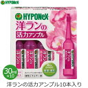 ハイポネックス 洋ランの活力アンプル 活力液 30ml×10本入り 洋ラン 洋蘭 活力剤 活性剤 鉢植え シンビジウム デンドロビウム 胡蝶蘭 カトレア 室内 屋内 家庭用