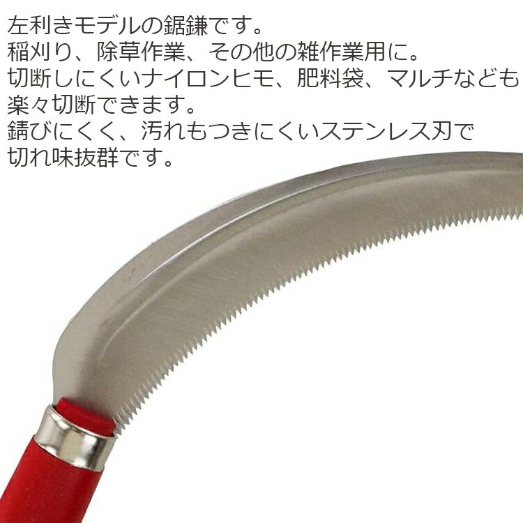 千吉 鋸鎌 左利き用 鎌 除草鎌 草刈り鎌 草取り鎌 稲刈り鎌 ステンレス 日本製 稲刈り かま 左きき用 鋭利鋸鎌左用 2