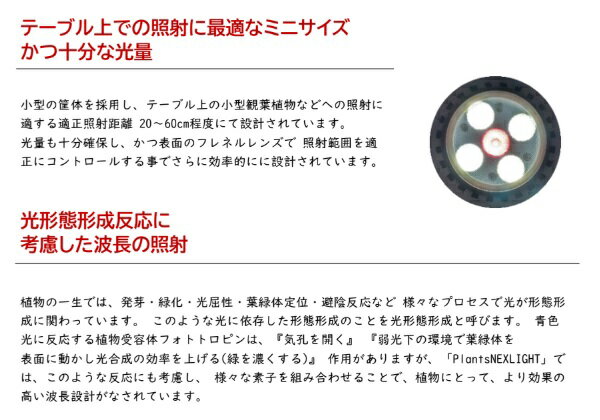 ��ʪ�����饤�� LED ��ʪ������ �� �ŵ� ��ʪ�����ѥ饤�� ��̺��� LED�饤�� ������� �饤�ƥ��� �ۥ磻�� PLANTS NEXLIGHT PAR16
