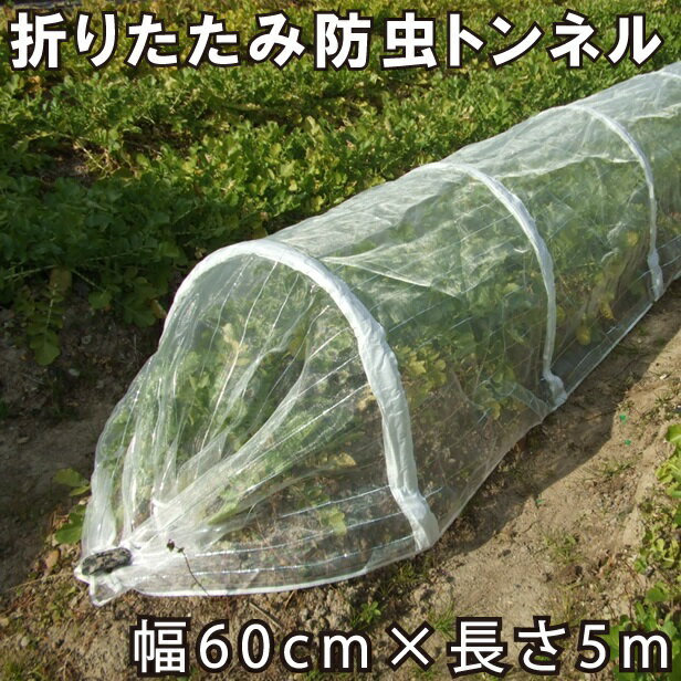 愛農 防虫ネット トンネル支柱セット 60cm×5m 1mm目 折畳可能 防虫ネット 家庭菜園 防虫トンネルハウス 農業用ハウス 農業資材 6-5N