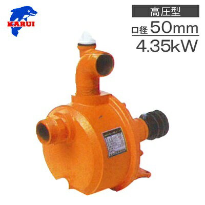 imgrc0065864330.jpg imgrc0065864330.jpg