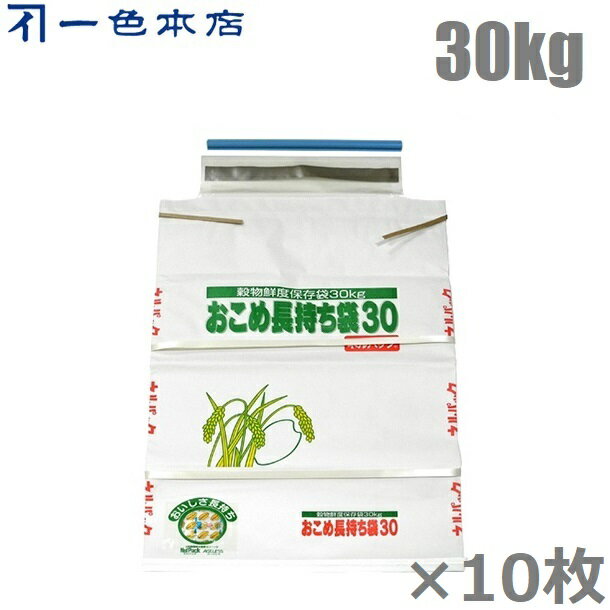 一色本店 米袋 米保存袋 ネルパック おこめ長持ち袋 30kg ×10枚 お米 鮮度保持袋 お米保存容器 もち米 豆類 玄米 白米