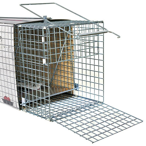 栄ヒルズ 捕獲器 アライグマ用 踏み板式 日本製 害獣捕獲器 No404 ハクビシン 捕獲...