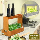 灯菜 水耕栽培キット おしゃれな 水耕栽培器 タネ付き OMA06 LED 室内用 植物栽培器 植物栽培キット 野菜栽培キット 照明 スタンド リビング 水耕栽...