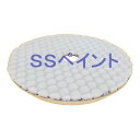 三共理化学 プリメーロバフ(ハードタイプ) サイズ170径×15mm 1枚