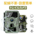 トレイルカメラ 屋外 4K 防犯カメラ 監視カメラ wifi不要 ネット環境なし 高画質 電池式 乾電池 カメラ ワイヤレス 工事不要 防犯対策 動体検知 赤外線 センサーカメラ 防水 駐車場 畑 車上荒らし 暗視 配線不要 野外 動物 獣害 長時間録画(3)