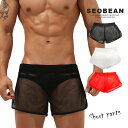 【訳あり】SEOBEAN セビン 即乾 総メッシュ ショートパンツ M-L ランパン ジョギパン ローライズ サーフパンツ 半パン 水着 ハーフパンツ 短 エク...