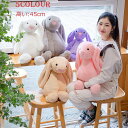 干支 うさぎ45cm 大きな耳うさぎ ぬいぐるみ ふわふわ ファーストトイ 赤ちゃん ベビー キッズ 手触り ふわふわ ベビーおもちゃ ソフトトイ おもちゃ 贈り物 出産祝い クリスマスプレゼント 誕生日ギフト 女の子 男の子 かわいい ふわふわ ウサギ 動物人気
